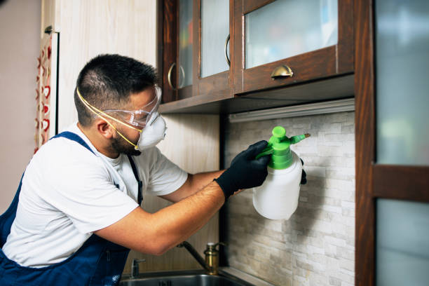Best Insect Control  in Desert Palms, CA