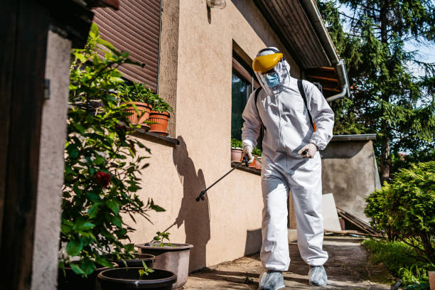 Best Local Pest Control Services  in Desert Palms, CA