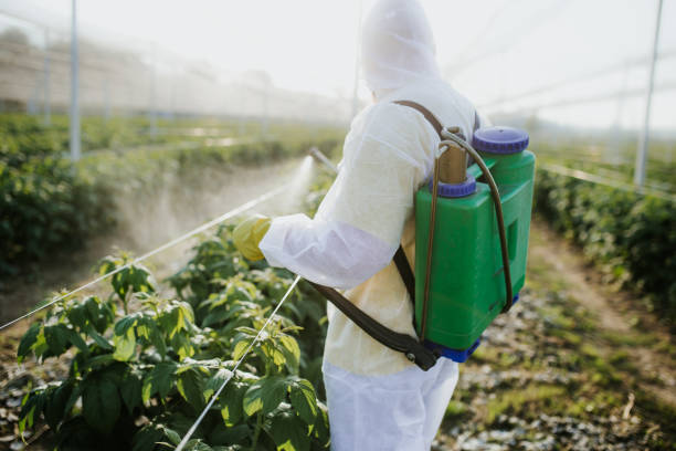 Desert Palms, CA Pest Control Company